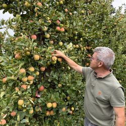 Eclaircissage manuel